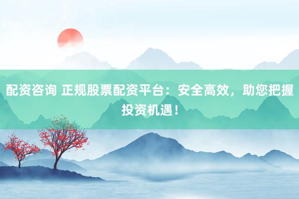 配资咨询 正规股票配资平台：安全高效，助您把握投资机遇！