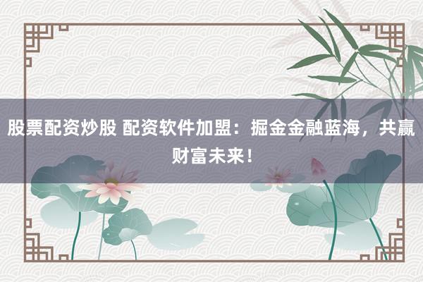 股票配资炒股 配资软件加盟：掘金金融蓝海，共赢财富未来！