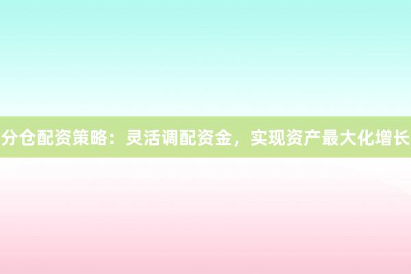 分仓配资策略：灵活调配资金，实现资产最大化增长