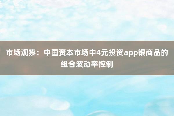 市场观察：中国资本市场中4元投资app银商品的组合波动率控制