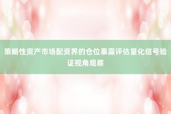 策略性资产市场配资界的仓位暴露评估量化信号验证视角观察