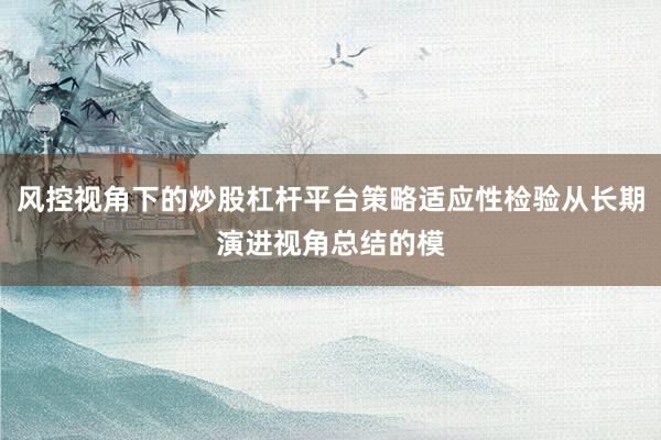 风控视角下的炒股杠杆平台策略适应性检验从长期演进视角总结的模