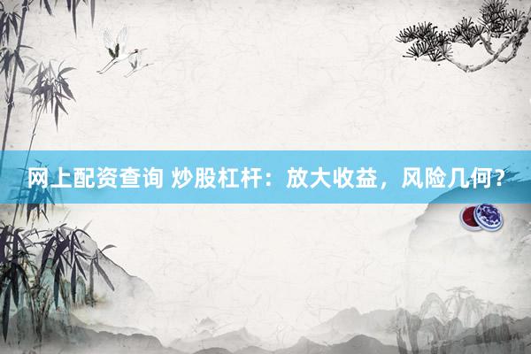 网上配资查询 炒股杠杆：放大收益，风险几何？