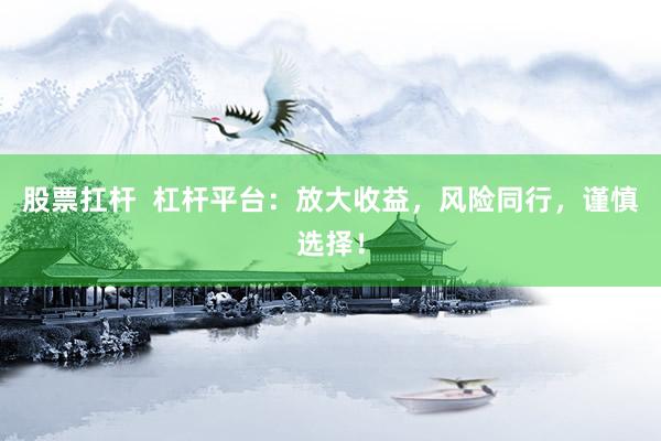 股票扛杆  杠杆平台：放大收益，风险同行，谨慎选择！