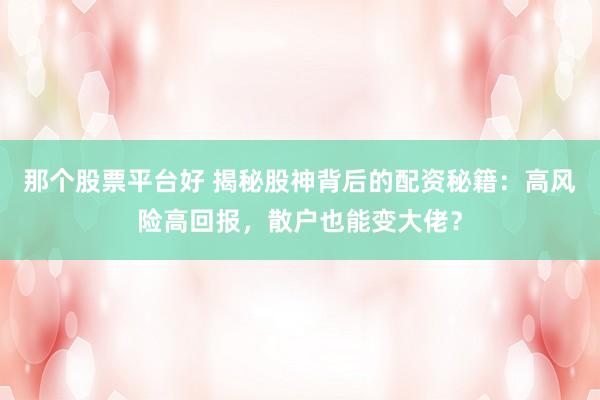那个股票平台好 揭秘股神背后的配资秘籍：高风险高回报，散户也能变大佬？