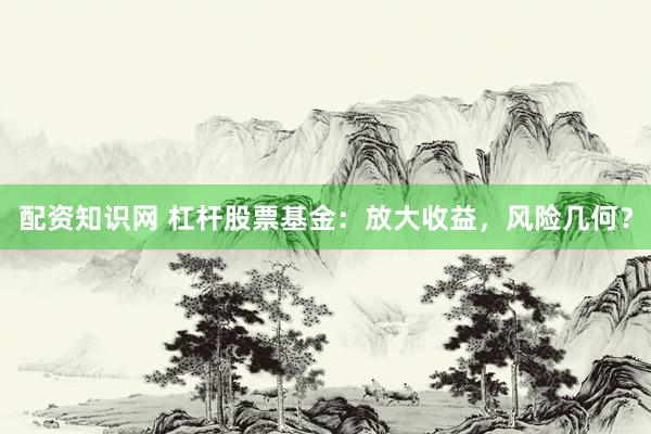 配资知识网 杠杆股票基金：放大收益，风险几何？