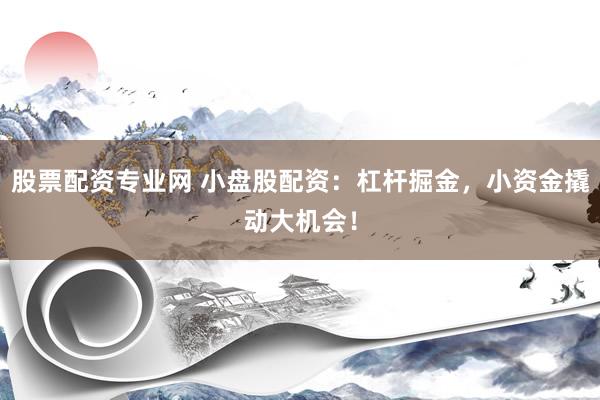 股票配资专业网 小盘股配资：杠杆掘金，小资金撬动大机会！